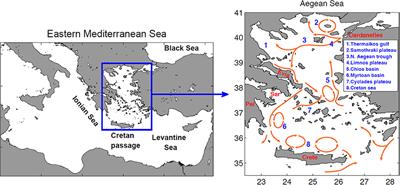 Modeling the Fate and Distribution of Floating Litter Particles in the Aegean Sea (E. Mediterranean)